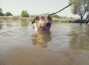 Прикачена снимка
