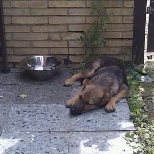 Прикачена снимка