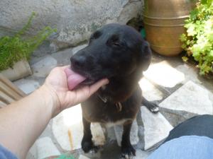 Прикачена снимка