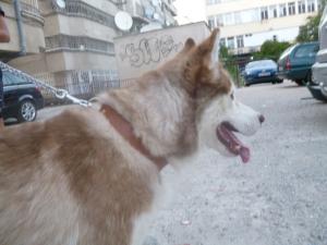 Прикачена снимка