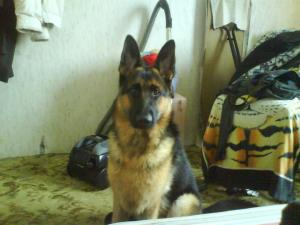 Прикачена снимка