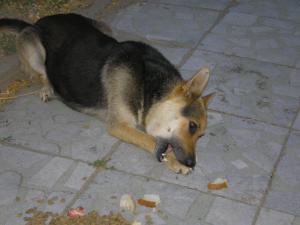 Прикачена снимка