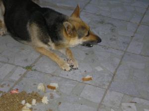 Прикачена снимка