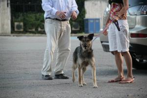 Прикачена снимка