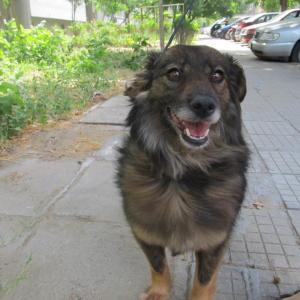 Прикачена снимка