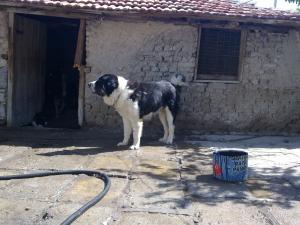 Прикачена снимка