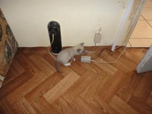 Прикачена снимка