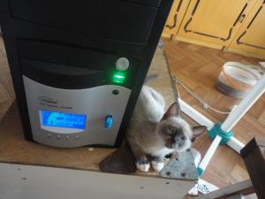 Прикачена снимка