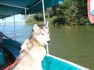 Прикачена снимка
