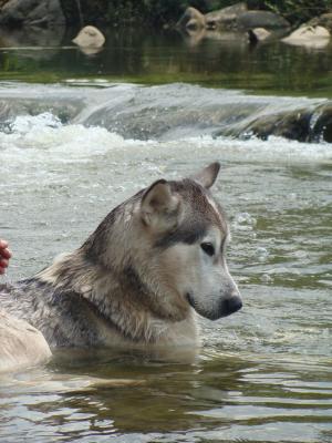 Прикачена снимка