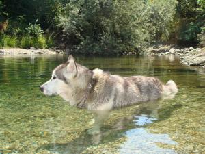 Прикачена снимка