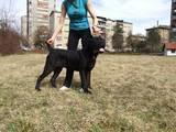 Прикачена снимка