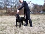 Прикачена снимка