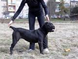Прикачена снимка