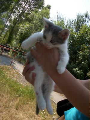 Прикачена снимка