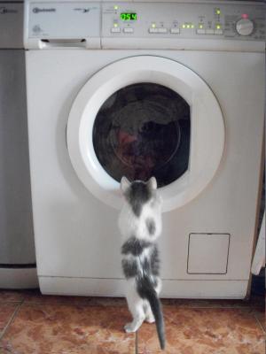 Прикачена снимка
