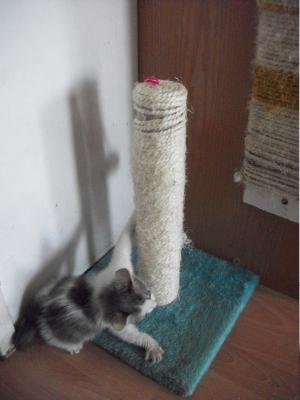Прикачена снимка