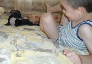 Прикачена снимка