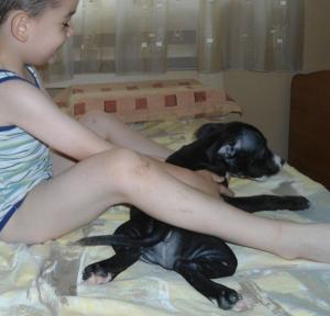 Прикачена снимка