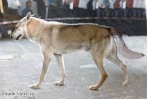 Прикачена снимка