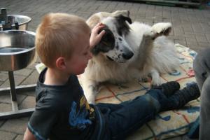 Прикачена снимка