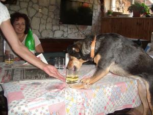 Прикачена снимка