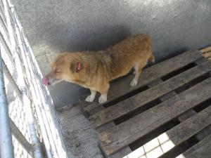 Прикачена снимка