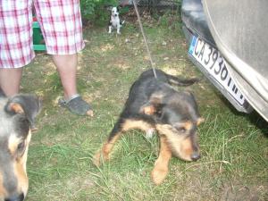 Прикачена снимка
