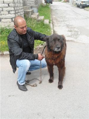 Прикачена снимка