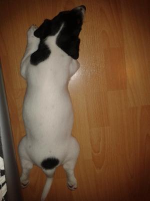 Прикачена снимка