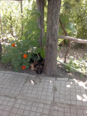 Прикачена снимка