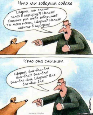 Прикачена снимка