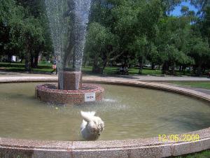 Прикачена снимка
