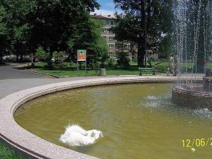 Прикачена снимка