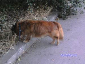 Прикачена снимка