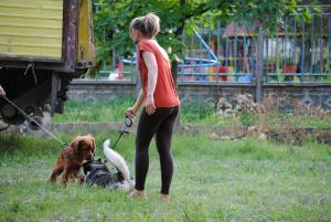 Прикачена снимка