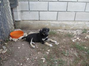 Прикачена снимка
