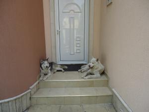 Прикачена снимка