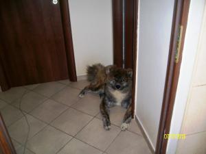 Прикачена снимка