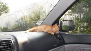 Прикачена снимка