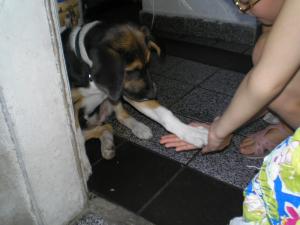 Прикачена снимка