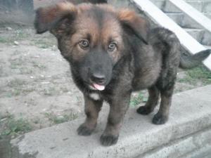 Прикачена снимка