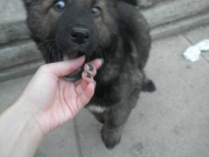 Прикачена снимка