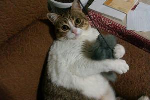 Прикачена снимка