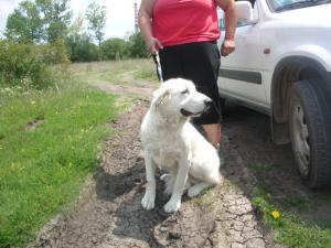 Прикачена снимка