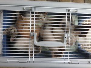 Прикачена снимка