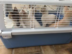 Прикачена снимка