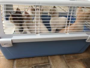 Прикачена снимка