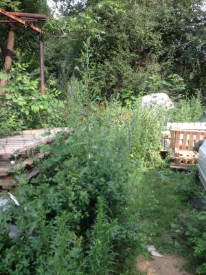 Прикачена снимка