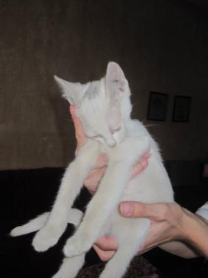 Прикачена снимка